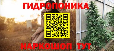 mdpv Рыбинск